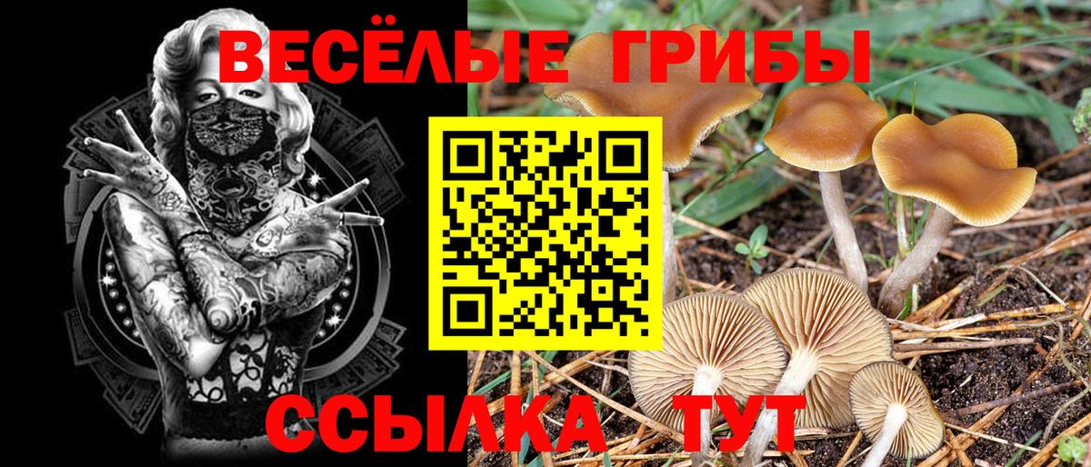 ГАШ  Канабис  Героин  ЭКСТАЗИ  Меф МЯУ МЯУ   Марихуана  Меф МЯУ МЯУ кристаллы  Метамфетамин  A PVP СОЛЬ кристаллы  Старый Оскол  Cocaine  Кодеин 
