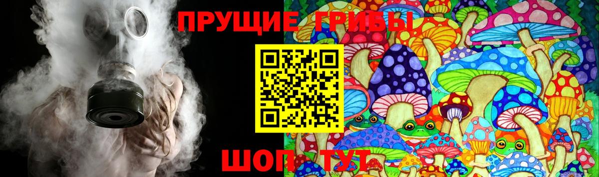 Псилоцибиновые грибы Cubensis Старый Оскол